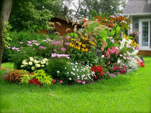 cultivo-de-plantas-de-jardines3